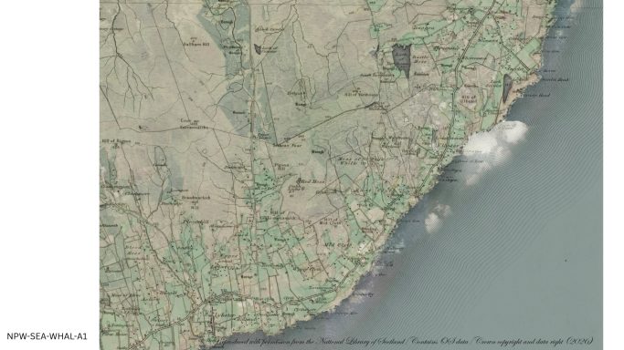 Historic map of Whaligoe showing the coastline, cliffs, roads and surrounding landscape.